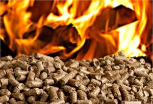 Wood pellets